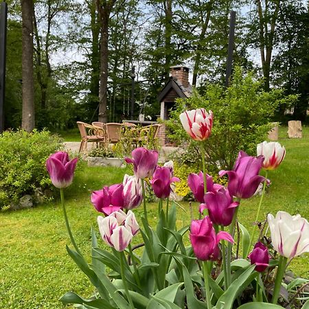 La Villa Emilie Durbuy Dış mekan fotoğraf